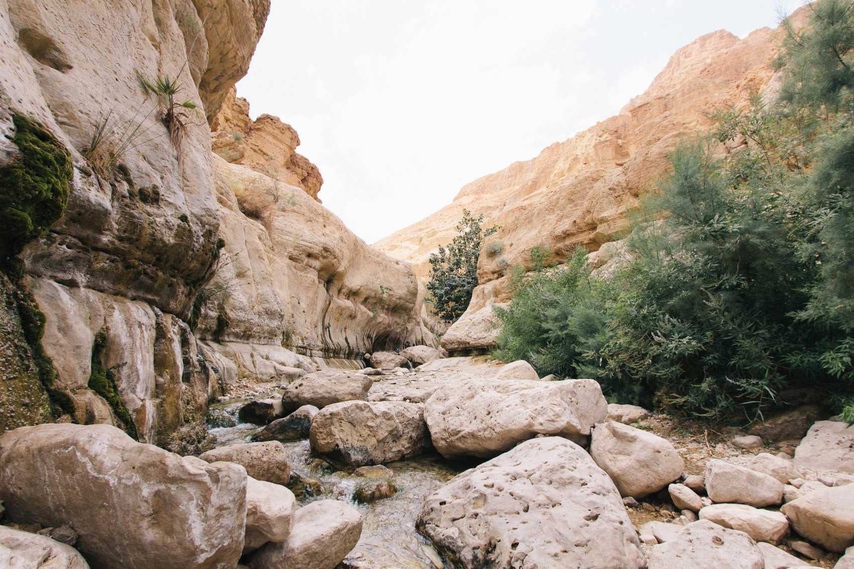 Ein Gedi, Israel